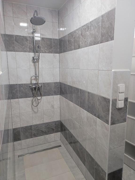 Apartmány HAVLÍČKOVA room 5